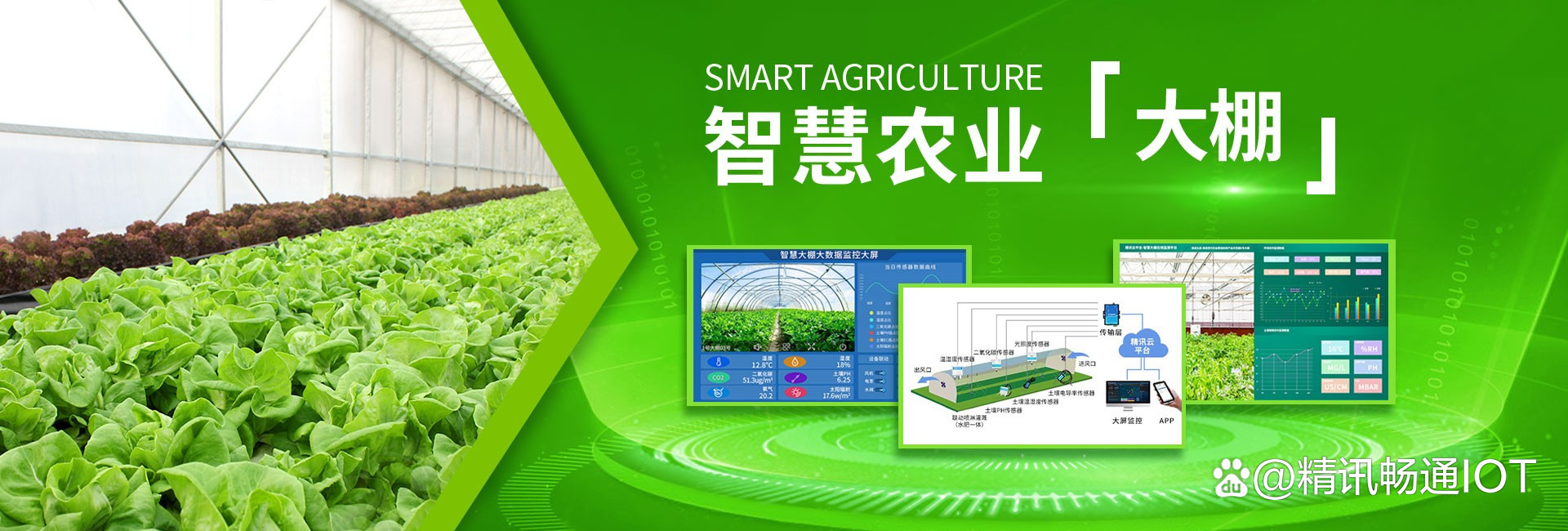 智慧農業(yè) 開啟現(xiàn)代農業(yè)新紀元——智能農業(yè)管理