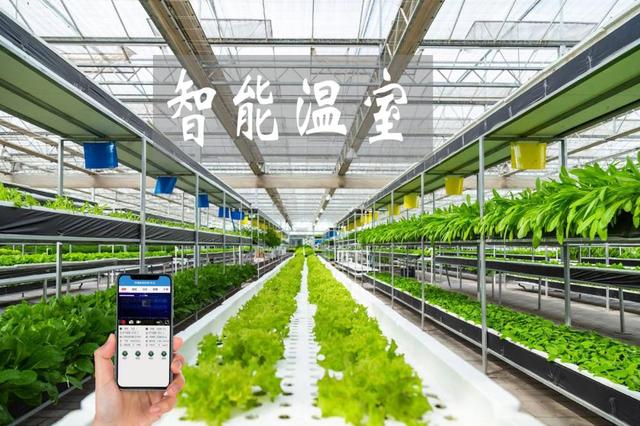農業(yè)物聯(lián)網(wǎng)賦能傳統(tǒng)大棚升級，手機管控溫濕度引領智能農業(yè)新時代