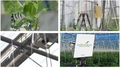 人工智能農業(yè) 互聯(lián)網(wǎng)巨頭種黃瓜獲獎背后的技術革命