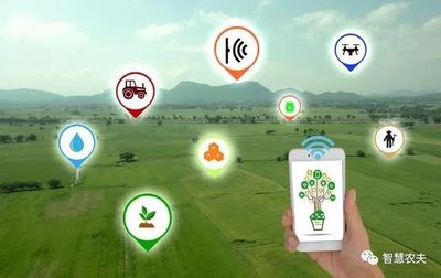 發(fā)展智慧農業(yè) 實現(xiàn)鄉(xiāng)村振興 智能農業(yè)管理的新路徑