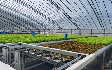 阿里云 智能農業的領航者，高科技助新農人畝產躍升六倍