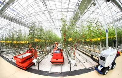 點點手機(jī)就能管理大棚，濰坊壽光以數(shù)字化賦能蔬菜產(chǎn)業(yè)升級