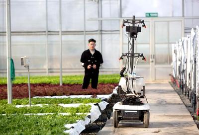 “農智云”為廣陳美麗城鎮建設插上“數字”翅膀