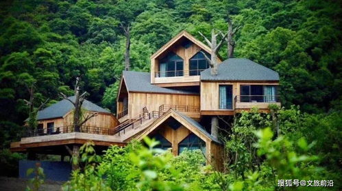 鄉村振興背景下康養文旅大會與度假產業的融合發展之路